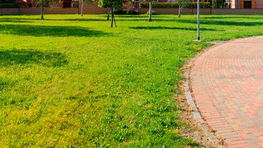 Green belt